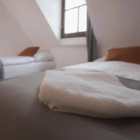 Hotel Petrin