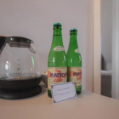 Hotel Petrin 3*