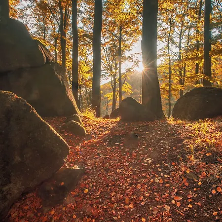 Petřín 3*