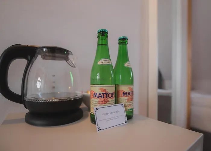 Hotel Petrin 3*